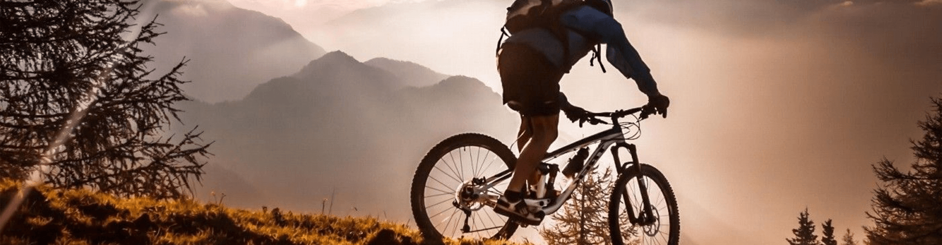 Domínio .bike